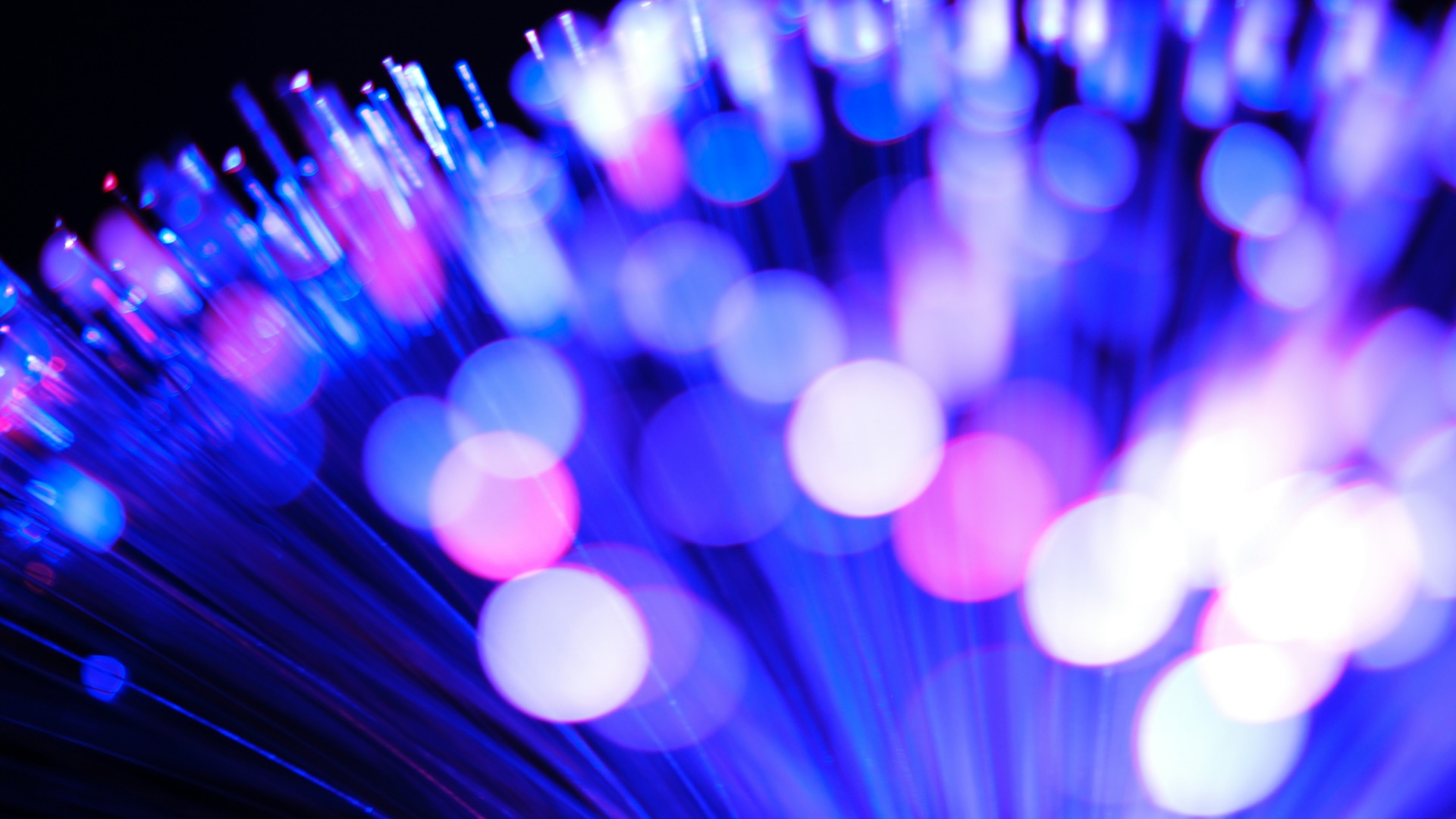 Server room with network cabling and blue lighting